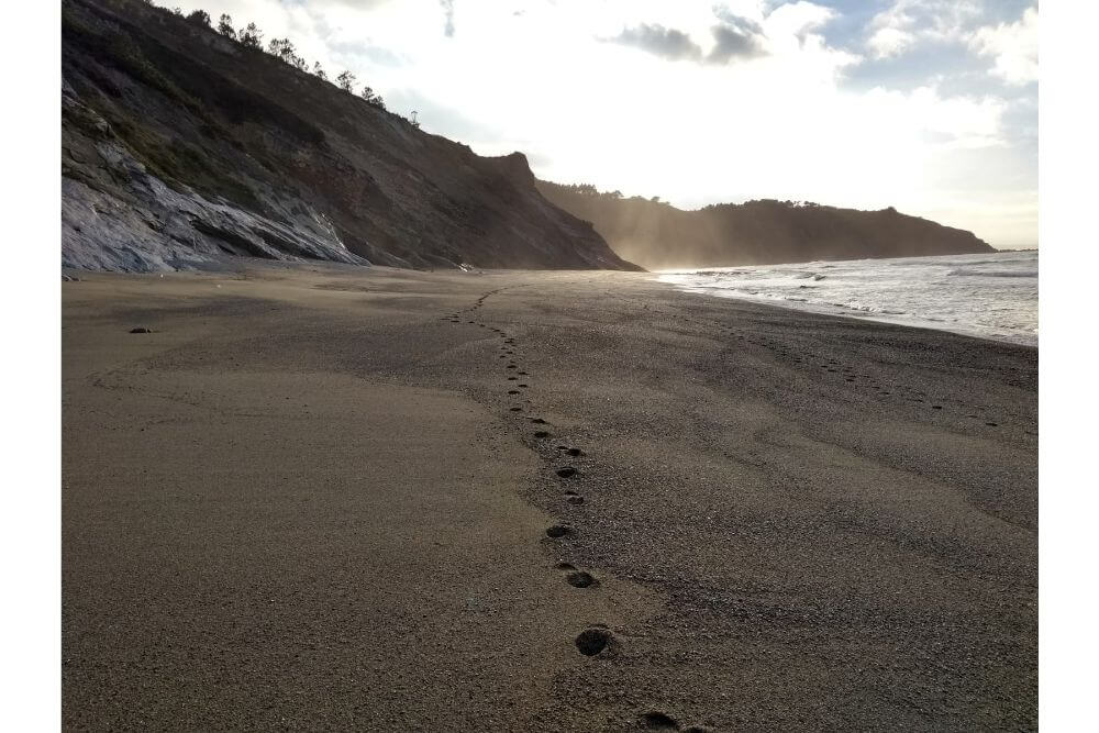 Playas Paisajes Detalle casa rural Al Otro lado del Mar, Oviñana Cudillero