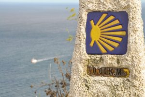 Camino Norte Por Ovinana